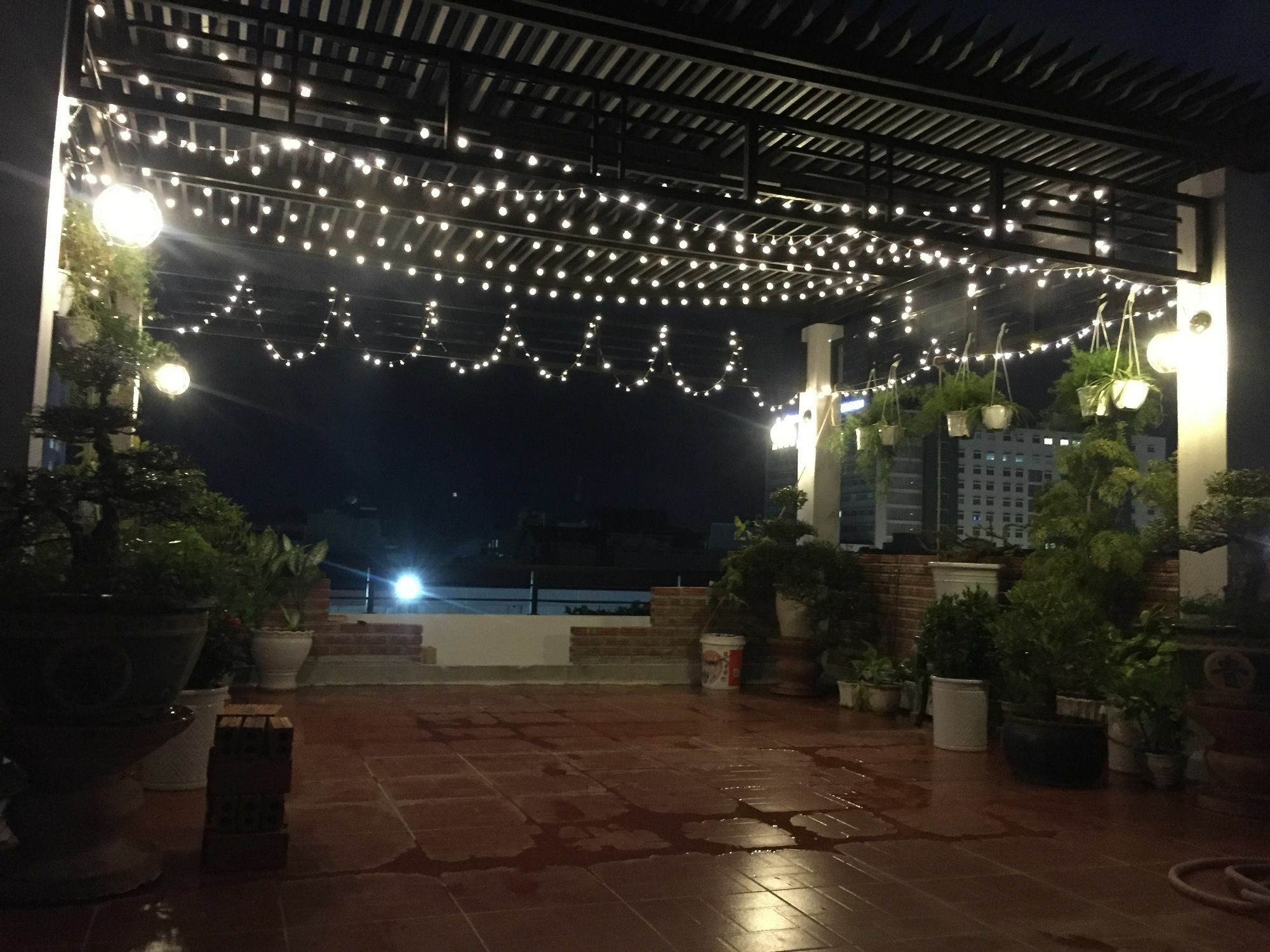 Sophie'S House Homestay Quy Nhon Eksteriør bilde